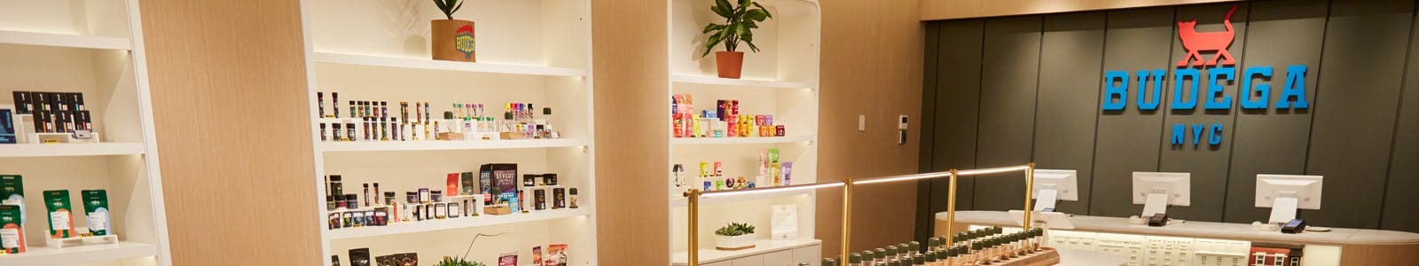 Budega NYC