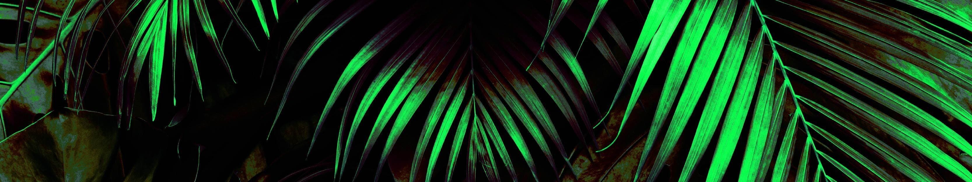 La Vida Gardens Dispensary Belleville