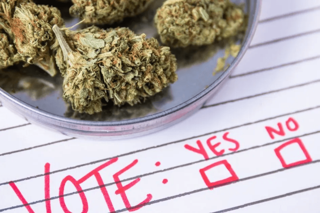 Deception and Democracy: The Fight to End Cannabis in Massachusetts